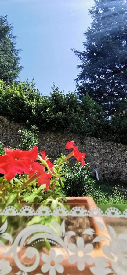 La Maison De Jardin Лукка Экстерьер фото