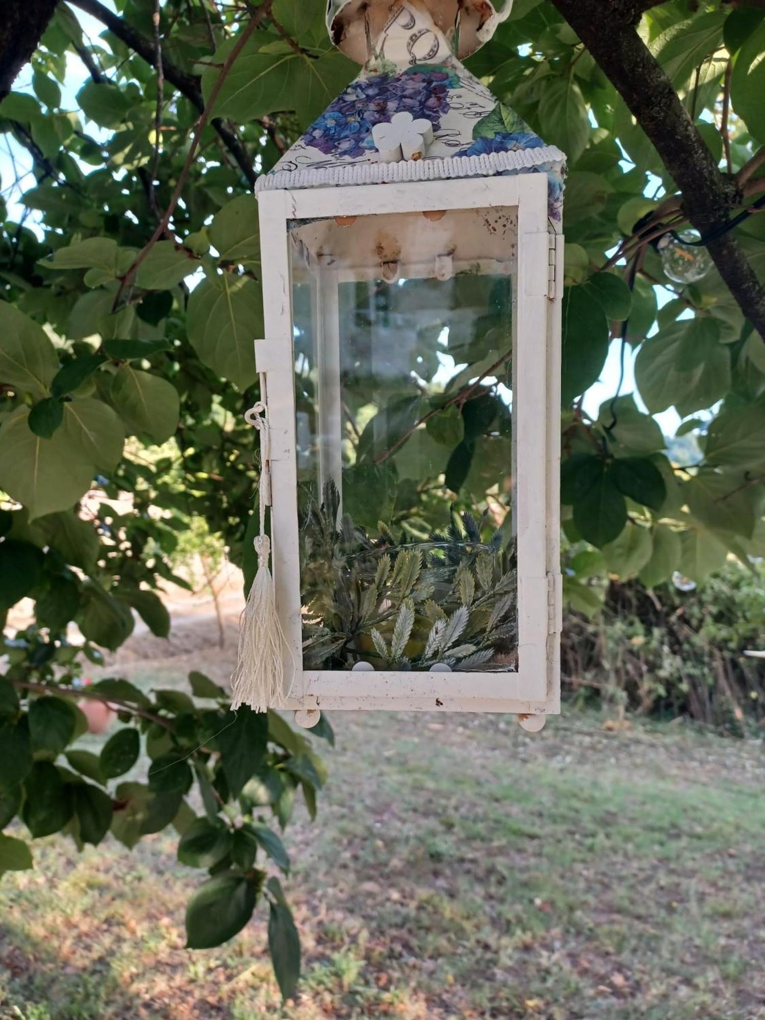 La Maison De Jardin Лукка Экстерьер фото