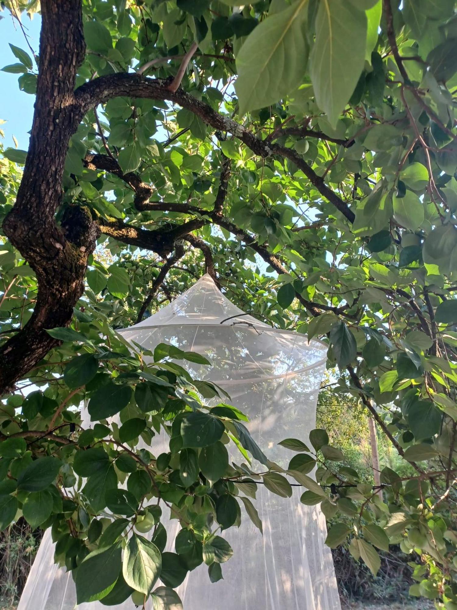 La Maison De Jardin Лукка Экстерьер фото